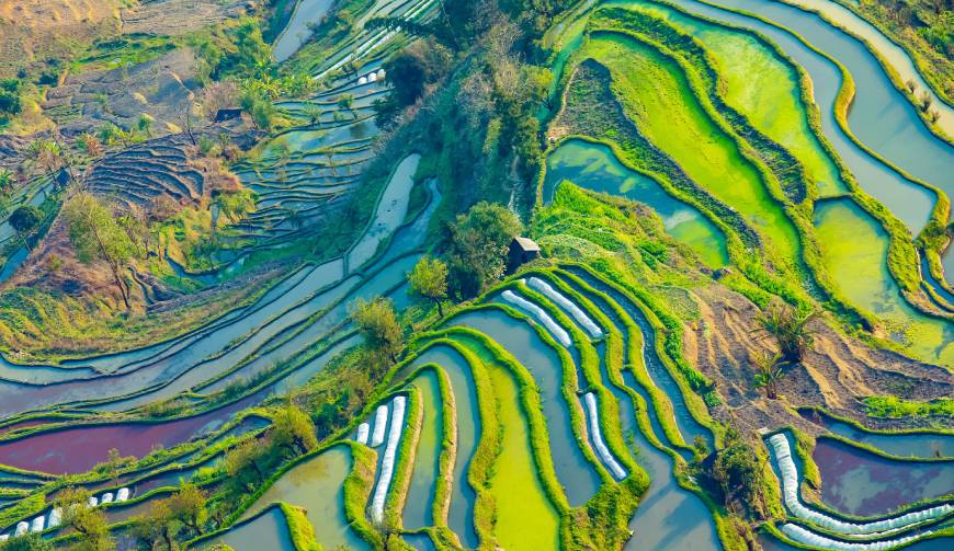 走进桥西区TVC拍摄：解锁本地化场景与创意镜头的完美融合